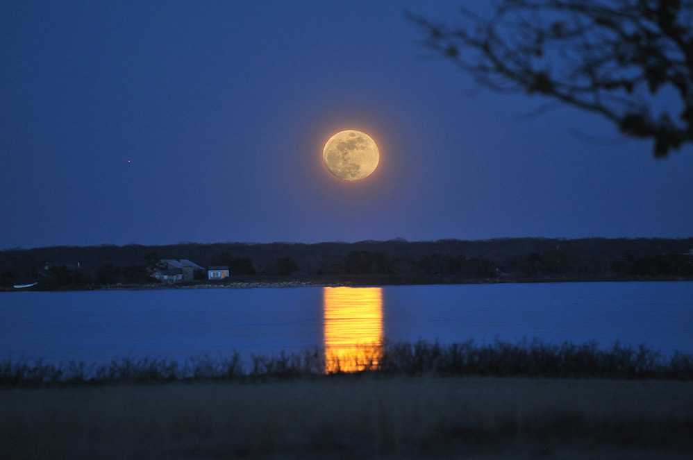 Ice Moon, Tisbury Great Pond