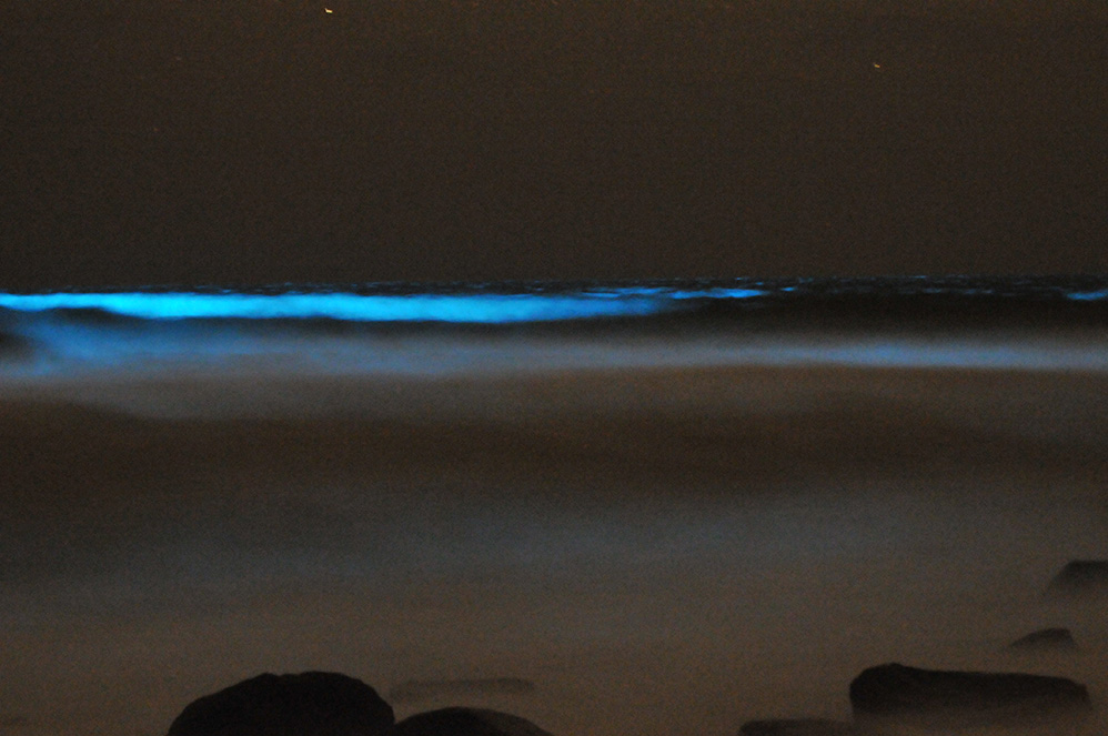 Luminescent Surf II