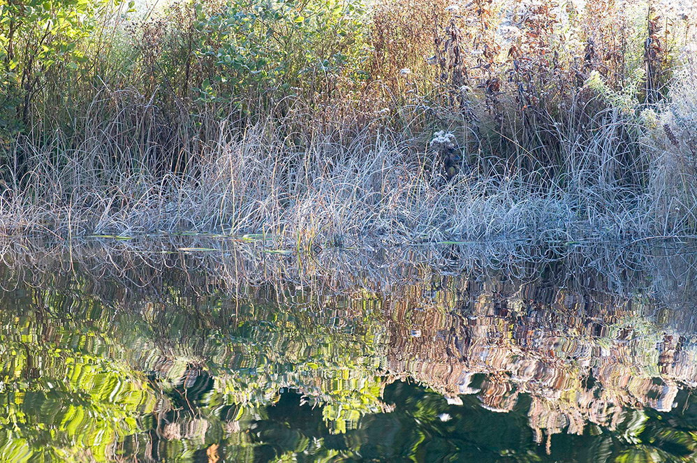 Frosted Grass Mirror