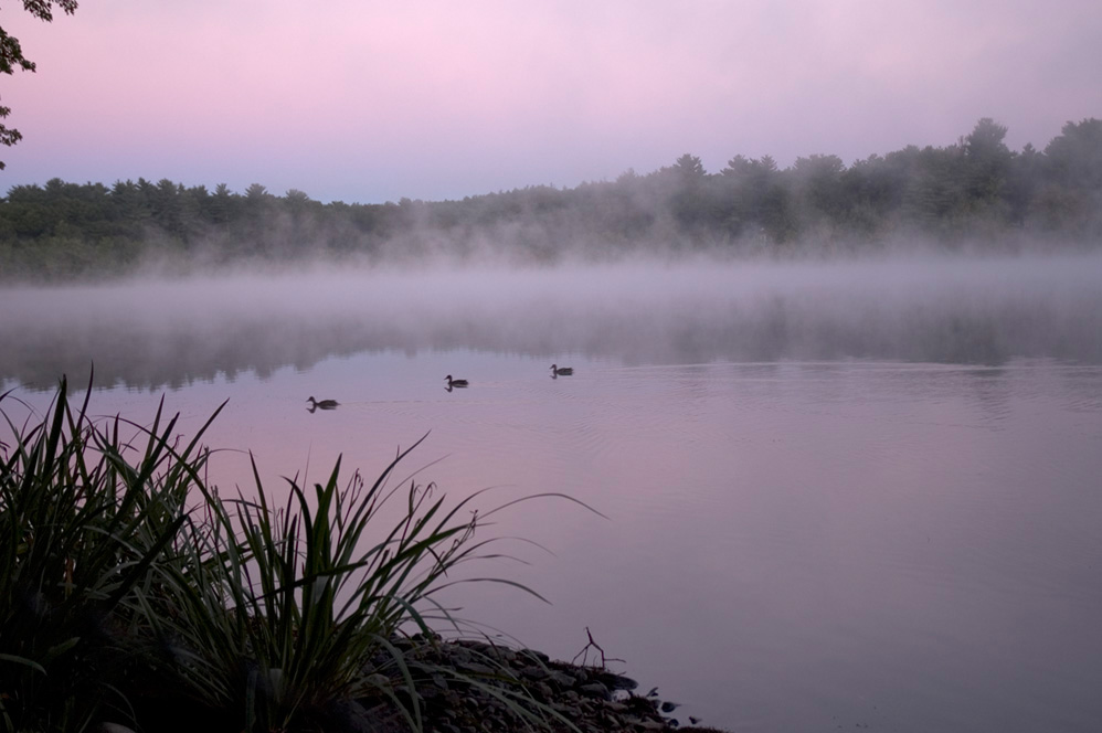 Dawn on Nonesuch Pond