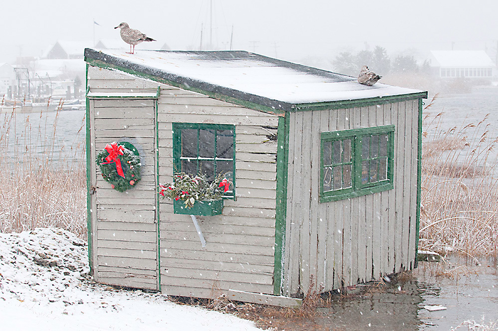 Christmas Clam Shack